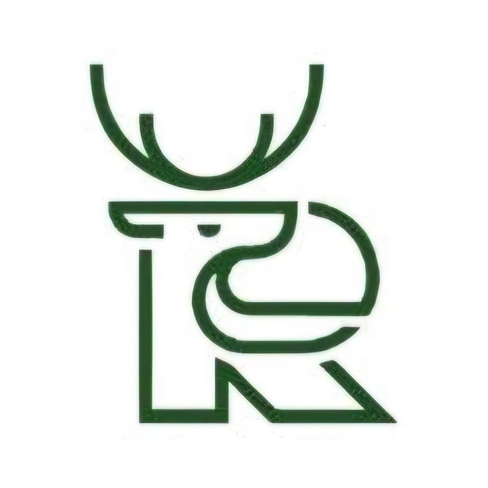 Ringkingpong